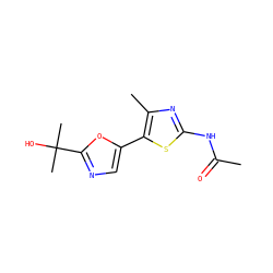 CC(=O)Nc1nc(C)c(-c2cnc(C(C)(C)O)o2)s1 ZINC000095562693