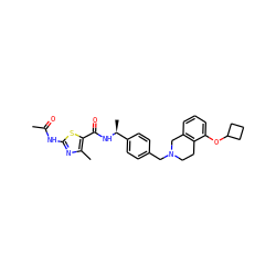 CC(=O)Nc1nc(C)c(C(=O)N[C@@H](C)c2ccc(CN3CCc4c(cccc4OC4CCC4)C3)cc2)s1 ZINC001772616434