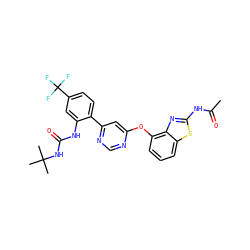 CC(=O)Nc1nc2c(Oc3cc(-c4ccc(C(F)(F)F)cc4NC(=O)NC(C)(C)C)ncn3)cccc2s1 ZINC000044406657