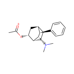 CC(=O)O[C@@H]1C[C@H]2CC[C@H]1[C@@H](N(C)C)[C@@H]2c1ccccc1 ZINC000253639327