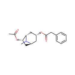CC(=O)O[C@H]1C[C@@H]2C[C@@H](OC(=O)Cc3ccccc3)C[C@@H]1N2C ZINC000101660795