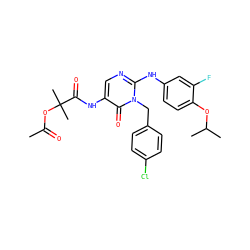 CC(=O)OC(C)(C)C(=O)Nc1cnc(Nc2ccc(OC(C)C)c(F)c2)n(Cc2ccc(Cl)cc2)c1=O ZINC000204092204