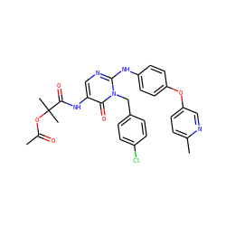CC(=O)OC(C)(C)C(=O)Nc1cnc(Nc2ccc(Oc3ccc(C)nc3)cc2)n(Cc2ccc(Cl)cc2)c1=O ZINC000204094979