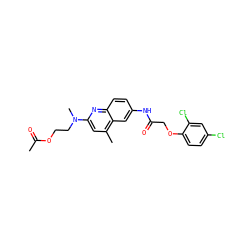 CC(=O)OCCN(C)c1cc(C)c2cc(NC(=O)COc3ccc(Cl)cc3Cl)ccc2n1 ZINC000013671994