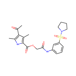 CC(=O)c1c(C)[nH]c(C(=O)OCC(=O)Nc2cccc(S(=O)(=O)N3CCCC3)c2)c1C ZINC000008692849