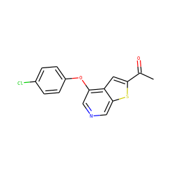 CC(=O)c1cc2c(Oc3ccc(Cl)cc3)cncc2s1 ZINC000199056906
