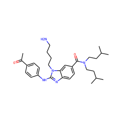 CC(=O)c1ccc(Nc2nc3ccc(C(=O)N(CCC(C)C)CCC(C)C)cc3n2CCCCN)cc1 ZINC000028823370
