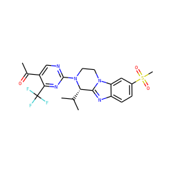CC(=O)c1cnc(N2CCn3c(nc4ccc(S(C)(=O)=O)cc43)[C@@H]2C(C)C)nc1C(F)(F)F ZINC000147713261