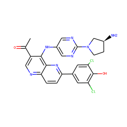 CC(=O)c1cnc2ccc(-c3cc(Cl)c(O)c(Cl)c3)nc2c1Nc1cnc(N2CC[C@H](N)C2)nc1 ZINC000473213509