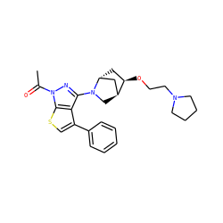 CC(=O)n1nc(N2C[C@H]3C[C@H]2C[C@H]3OCCN2CCCC2)c2c(-c3ccccc3)csc21 ZINC000653663963