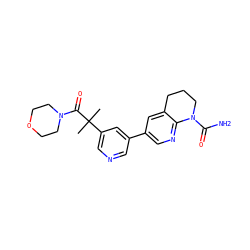 CC(C)(C(=O)N1CCOCC1)c1cncc(-c2cnc3c(c2)CCCN3C(N)=O)c1 ZINC001772653468