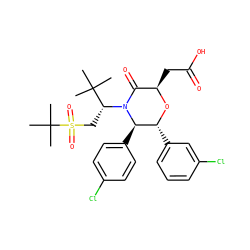 CC(C)(C)[C@@H](CS(=O)(=O)C(C)(C)C)N1C(=O)[C@@H](CC(=O)O)O[C@H](c2cccc(Cl)c2)[C@H]1c1ccc(Cl)cc1 ZINC000142315153