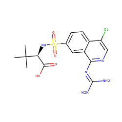 CC(C)(C)[C@@H](NS(=O)(=O)c1ccc2c(Cl)cnc(N=C(N)N)c2c1)C(=O)O ZINC000014960780