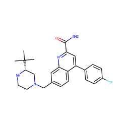 CC(C)(C)[C@@H]1CN(Cc2ccc3c(-c4ccc(F)cc4)cc(C(N)=O)nc3c2)CCN1 ZINC000221606112