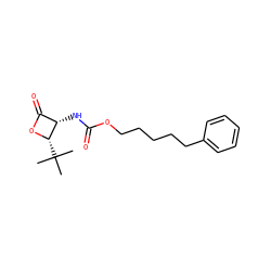 CC(C)(C)[C@@H]1OC(=O)[C@@H]1NC(=O)OCCCCCc1ccccc1 ZINC000148839053