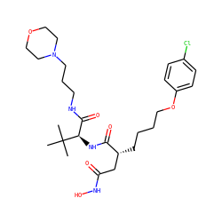 CC(C)(C)[C@H](NC(=O)[C@H](CCCCOc1ccc(Cl)cc1)CC(=O)NO)C(=O)NCCCN1CCOCC1 ZINC000026574049
