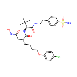 CC(C)(C)[C@H](NC(=O)[C@H](CCCCOc1ccc(Cl)cc1)CC(=O)NO)C(=O)NCCc1ccc(S(N)(=O)=O)cc1 ZINC000026576840
