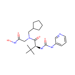 CC(C)(C)[C@H](NC(=O)Nc1cccnc1)C(=O)N(CC(=O)NO)CC1CCCC1 ZINC000058538045