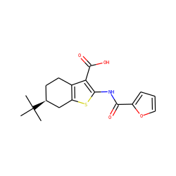 CC(C)(C)[C@H]1CCc2c(sc(NC(=O)c3ccco3)c2C(=O)O)C1 ZINC000000191636