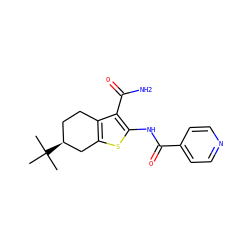 CC(C)(C)[C@H]1CCc2c(sc(NC(=O)c3ccncc3)c2C(N)=O)C1 ZINC000001217588