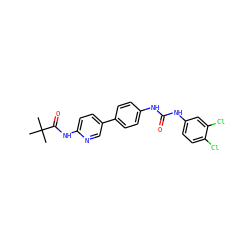 CC(C)(C)C(=O)Nc1ccc(-c2ccc(NC(=O)Nc3ccc(Cl)c(Cl)c3)cc2)cn1 ZINC000473136129