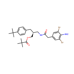 CC(C)(C)C(=O)OC[C@H](CNC(=O)Cc1cc(Br)c(N)c(Br)c1)Cc1ccc(C(C)(C)C)cc1 ZINC000064436273