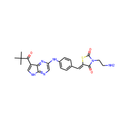 CC(C)(C)C(=O)c1c[nH]c2ncc(Nc3ccc(/C=C4\SC(=O)N(CCN)C4=O)cc3)nc12 ZINC000148962036
