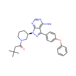 CC(C)(C)CC(=O)N1CCC[C@@H](n2nc(-c3ccc(Oc4ccccc4)cc3)c3c(N)ncnc32)C1 ZINC000204312218