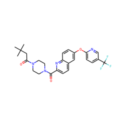 CC(C)(C)CC(=O)N1CCN(C(=O)c2ccc3cc(Oc4ccc(C(F)(F)F)cn4)ccc3n2)CC1 ZINC001772588880