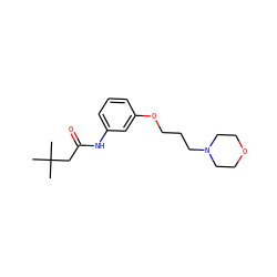 CC(C)(C)CC(=O)Nc1cccc(OCCCN2CCOCC2)c1 ZINC000043021264
