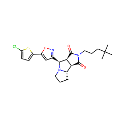 CC(C)(C)CCCN1C(=O)[C@H]2[C@@H](C1=O)[C@@H]1CCCN1[C@H]2c1cc(-c2ccc(Cl)s2)on1 ZINC000059062196