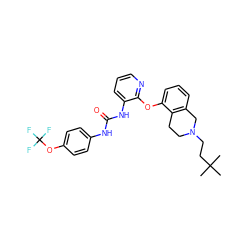 CC(C)(C)CCN1CCc2c(cccc2Oc2ncccc2NC(=O)Nc2ccc(OC(F)(F)F)cc2)C1 ZINC000103239082