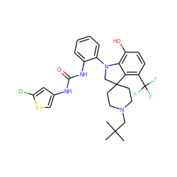 CC(C)(C)CN1CCC2(CC1)CN(c1ccccc1NC(=O)Nc1csc(Cl)c1)c1c(O)ccc(C(F)(F)F)c12 ZINC001772589168