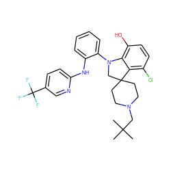 CC(C)(C)CN1CCC2(CC1)CN(c1ccccc1Nc1ccc(C(F)(F)F)cn1)c1c(O)ccc(Cl)c12 ZINC000208073883