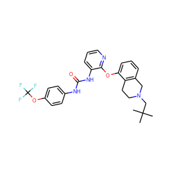 CC(C)(C)CN1CCc2c(cccc2Oc2ncccc2NC(=O)Nc2ccc(OC(F)(F)F)cc2)C1 ZINC000038257729