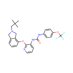 CC(C)(C)CN1Cc2cccc(Oc3ncccc3NC(=O)Nc3ccc(OC(F)(F)F)cc3)c2C1 ZINC000098065460
