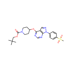 CC(C)(C)COC(=O)N1CCC(Oc2ncnc3c2cnn3-c2ccc(S(C)(=O)=O)cc2)CC1 ZINC000071318269