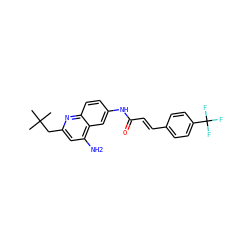 CC(C)(C)Cc1cc(N)c2cc(NC(=O)/C=C/c3ccc(C(F)(F)F)cc3)ccc2n1 ZINC000036351882