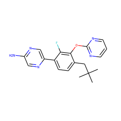 CC(C)(C)Cc1ccc(-c2cnc(N)cn2)c(F)c1Oc1ncccn1 ZINC000224572969