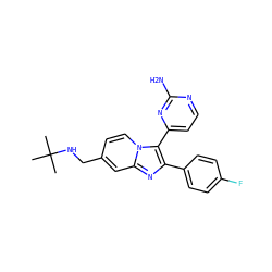 CC(C)(C)NCc1ccn2c(-c3ccnc(N)n3)c(-c3ccc(F)cc3)nc2c1 ZINC000040953728
