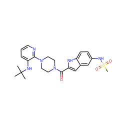 CC(C)(C)Nc1cccnc1N1CCN(C(=O)c2cc3cc(NS(C)(=O)=O)ccc3[nH]2)CC1 ZINC000013760712