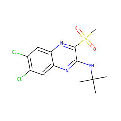 CC(C)(C)Nc1nc2cc(Cl)c(Cl)cc2nc1S(C)(=O)=O ZINC000028951019