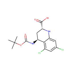 CC(C)(C)OC(=O)N[C@H]1C[C@H](C(=O)O)Nc2cc(Cl)cc(Cl)c21 ZINC000013455228