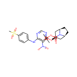 CC(C)(C)OC(=O)N1[C@H]2CC[C@@H]1C[C@H](Oc1ncnc(Nc3ccc(S(C)(=O)=O)cc3)c1[N+](=O)[O-])C2 ZINC000103232127
