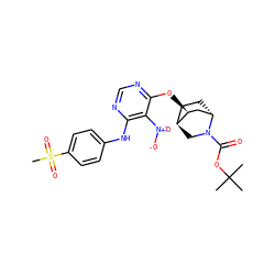 CC(C)(C)OC(=O)N1C[C@H]2CC[C@H]1C[C@@H]2Oc1ncnc(Nc2ccc(S(C)(=O)=O)cc2)c1[N+](=O)[O-] ZINC001772653840