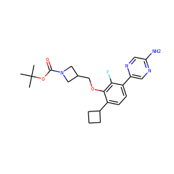 CC(C)(C)OC(=O)N1CC(COc2c(C3CCC3)ccc(-c3cnc(N)cn3)c2F)C1 ZINC000224558379