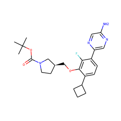 CC(C)(C)OC(=O)N1CC[C@H](COc2c(C3CCC3)ccc(-c3cnc(N)cn3)c2F)C1 ZINC000224564799