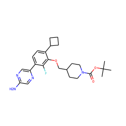 CC(C)(C)OC(=O)N1CCC(COc2c(C3CCC3)ccc(-c3cnc(N)cn3)c2F)CC1 ZINC000224546735