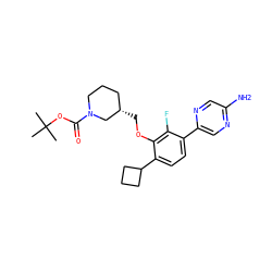 CC(C)(C)OC(=O)N1CCC[C@H](COc2c(C3CCC3)ccc(-c3cnc(N)cn3)c2F)C1 ZINC000224586088