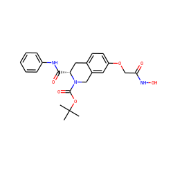 CC(C)(C)OC(=O)N1Cc2cc(OCC(=O)NO)ccc2C[C@H]1C(=O)Nc1ccccc1 ZINC000045338398